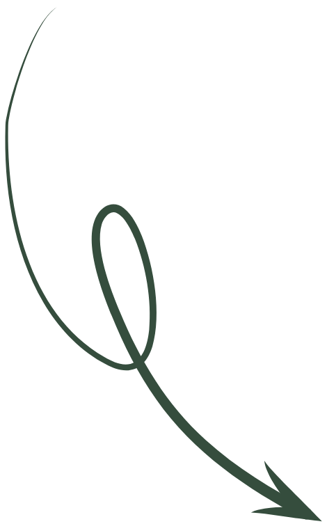 Brown Minimalist Aesthetic Light Bulb oneline continuous line art Poster(19)(1)